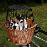 Trixie kosz wiklinowy do przewozu psa lub kota na rowerze, kolor naturalnej wikliny