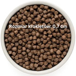 Grandorf Adult Mini 4 Meat 1kg sucha karma dla psów dorosłych