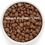 Grandorf Fresh Salmon Adult Medium Maxi – bezzbożowa karma dla psów dorosłych 1kg