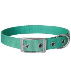 Obroża dla psa wykonana z taśmy 16mm/46cm miętowa Chaba