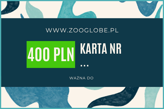 Karta podarunkowa 400 pln
