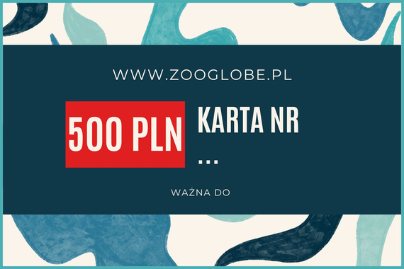 Karta podarunkowa 500 pln