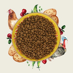 Eden Indyk i Kurczak - sucha karma dla kotów - 1,5 kg