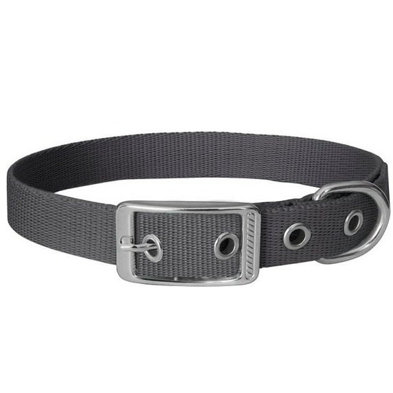 Obroża dla psa wykonana z taśmy 16mm/46cm grafitowa Chaba