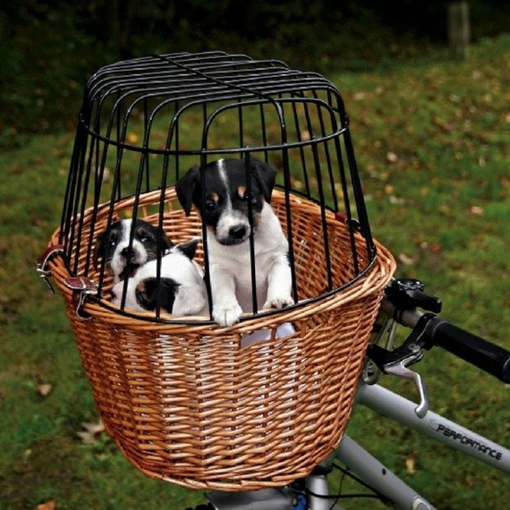 Trixie kosz wiklinowy do przewozu psa lub kota na rowerze, kolor naturalnej wikliny