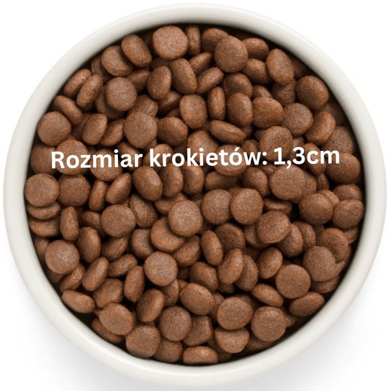 Grandorf Fresh Salmon Adult Medium Maxi – bezzbożowa karma dla psów dorosłych 1kg