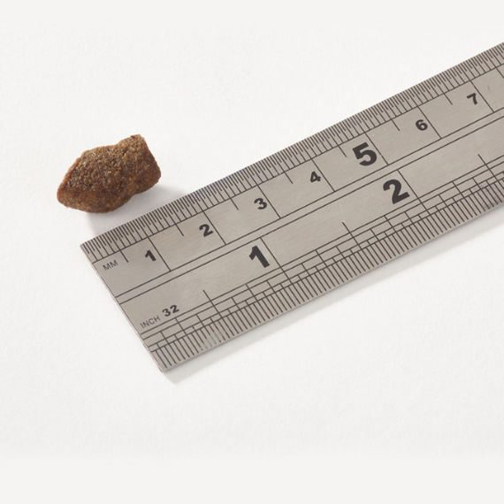 Fish4Dogs Support+ Puppy White Fish Morsels – przysmaki dla szczeniąt wspomagające trawienie