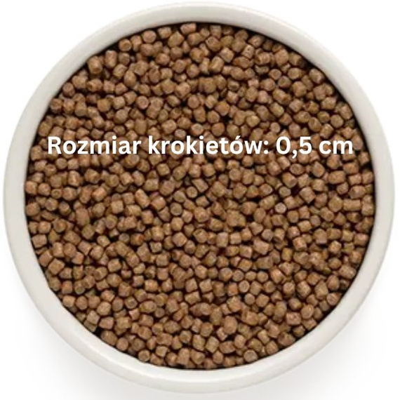 Grandorf Fresh – karma sucha bezzbożowa dla kociąt z jagnięciną, 2kg