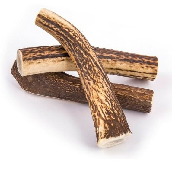 4DOGS HARD naturalny gryzak z poroża jeleniowatych L