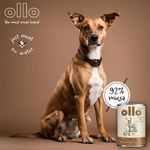 Ollo Pure Deer mokra karma dla psa - jeleń 850g