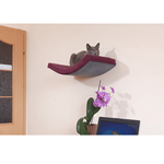 Półka dla kota ŁUK 60 kolor czekoladowy