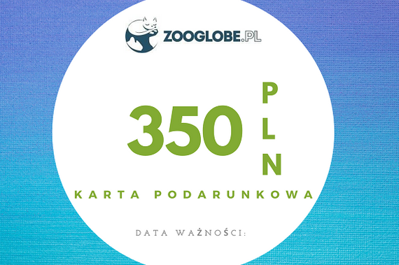 Karta podarunkowa 350 pln