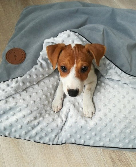 Legowisko dla psa lub kota - Lauren Design Norka Nel czarny velvet 100 x 80 cm