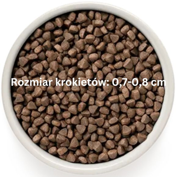 Grandorf Sterilised Królik Indyk sucha karma dla dorosłych kotów 400g