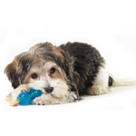 Petstages zestaw Orka Mini - zabawki dla psów 2 sztuki