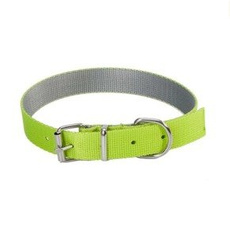 Dingo obroża dla psa Energy zielona 55cm