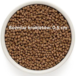 Grandorf Fresh – karma sucha bezzbożowa dla kociąt z jagnięciną, 2kg