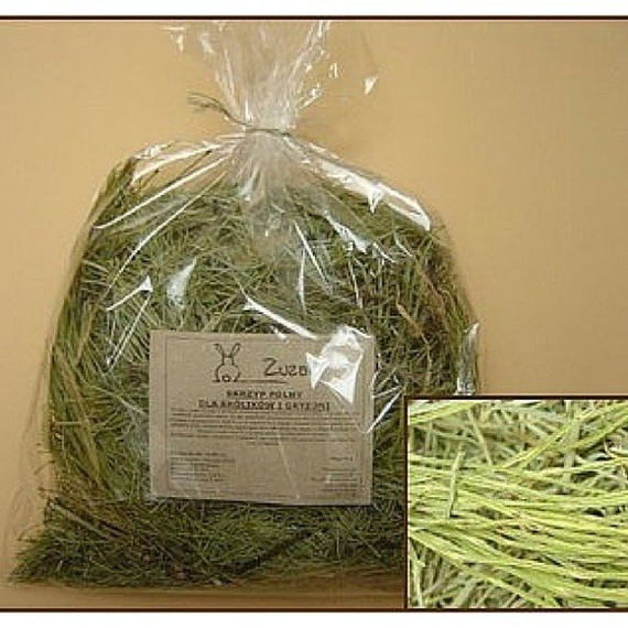 Zuzala skrzyp polny - suszone zioła 75g