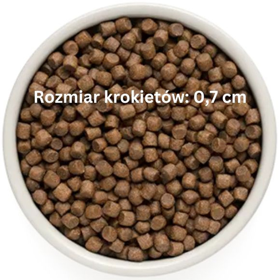 Grandorf Adult Mini Jagnięcina i Indyk 1kg sucha karma dla psów dorosłych