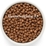 Grandorf Fresh Salmon Adult Mini – bezzbożowa karma dla psów dorosłych 3kg