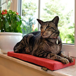 Materac na parapet dla kota Lauren design CLEO 50x20cm turkusowy