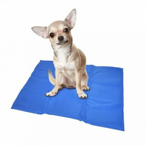 Mata chłodząca dla psa 50x65cm  Duvo+