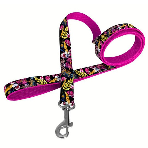 Chaba smycz dla psa SLAVONIC taśma 2cm x 130cm