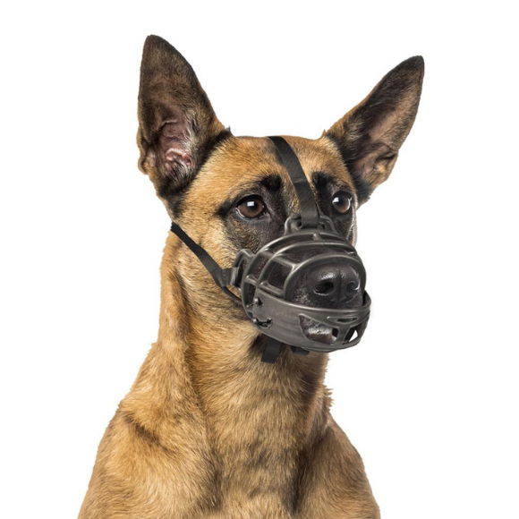 Kaganiec Dog Muzzle Rubber M Zooglobe.pl