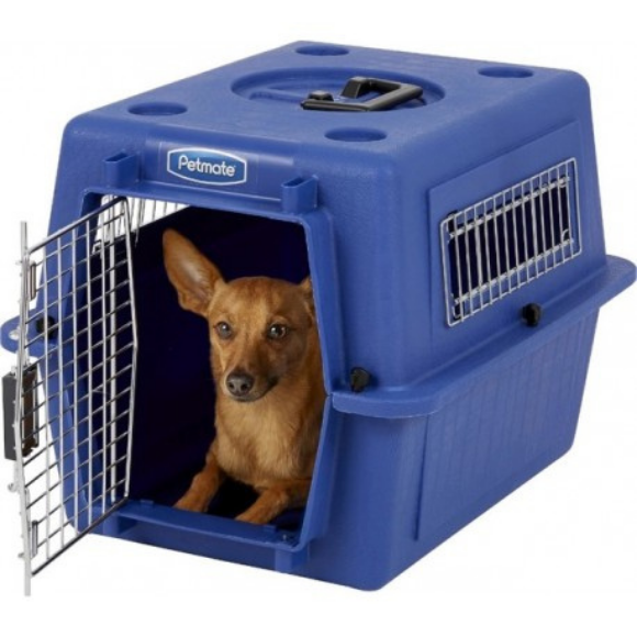 Vari Kennel Small Blue Petmate transporter do przewozu kota lub