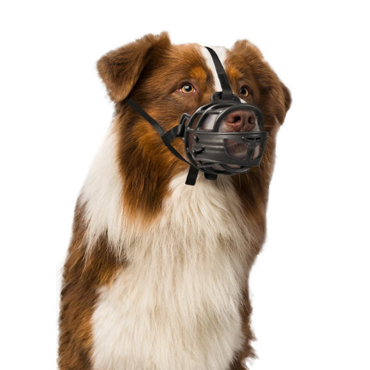 Kaganiec Dog Muzzle Rubber S